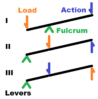 Types of levers